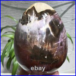 2.6lb Natural Petrified Woodstone Egg Polished Quartz Crystal Sphere Decoration