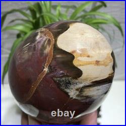 2.6lb Natural Petrified Woodstone Egg Polished Quartz Crystal Sphere Decoration