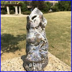 3.4LB Torch Flame Natural Ocean Jasper Crystal Geode Polished Sea Stone Healing