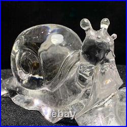 920g NaturalClear White Snail Skull Quartz Crystal Carved Reiki Decoration