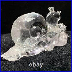 920g NaturalClear White Snail Skull Quartz Crystal Carved Reiki Decoration