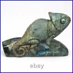 Chameleon Sculpture Natural Labradorite Lizard Figurine Crystal Healing Ornament