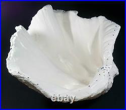 Giant Clam Shell Sculpture Ornament Bowl Encrusted Crystal Gems celebration gift