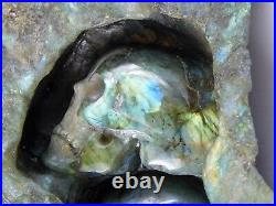 Large Labradorite Crystal Skull Carving -Decor Ornament Great Gift 3.2KG 9.5in