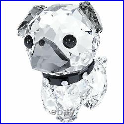 New Swarovski Roxy The Pug Puppy #5063333 Brand Nib Crystal Cute Free Shipping