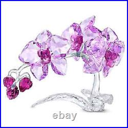 Swarovski Crystal Flowers Orchid Figurine Decoration, Purple, 5520373
