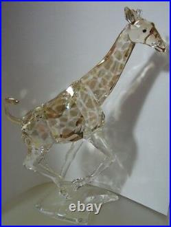 Swarovski Silver Crystal Giraffe 2008 New & Mint 935896 Retired 2012
